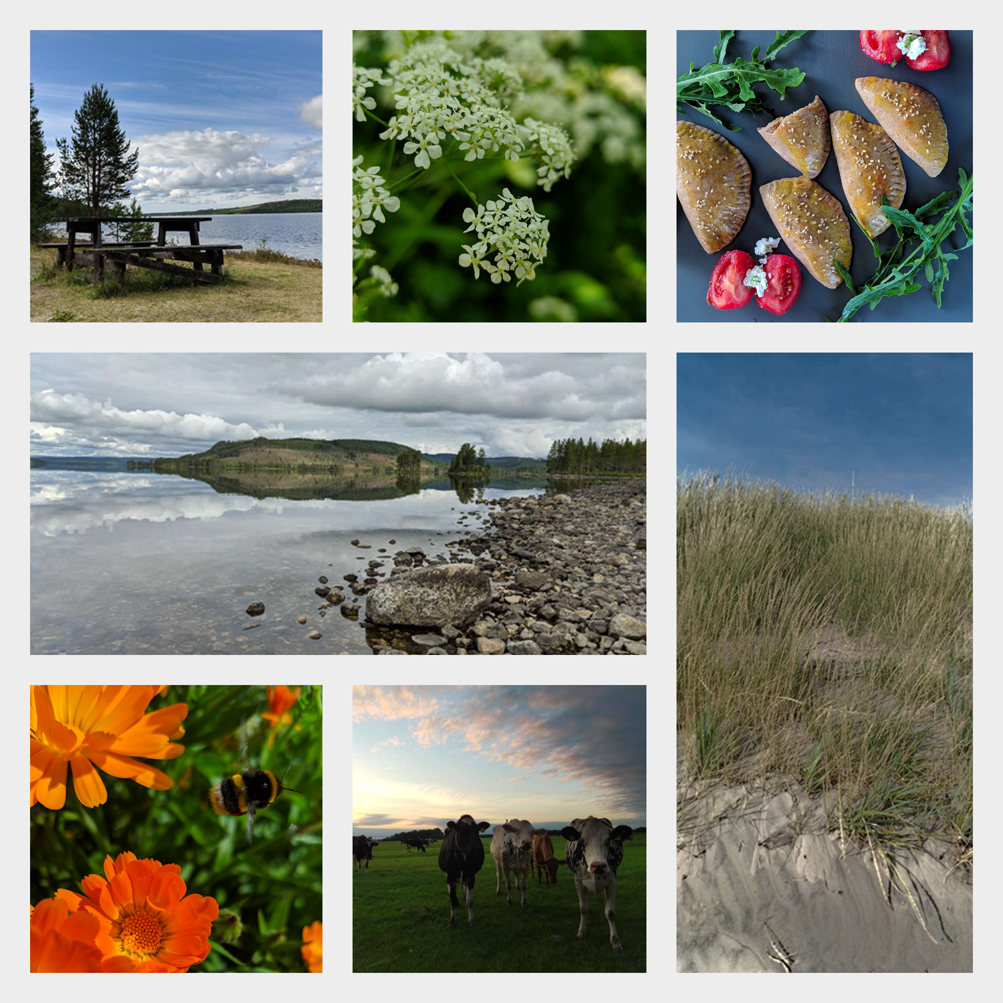 Collage 6mq bilder02